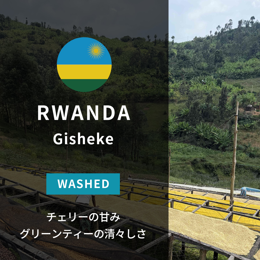 Rwanda Gisheke A1 Washed(24/25年クロップ) | ORIGIN COUNTRIES for